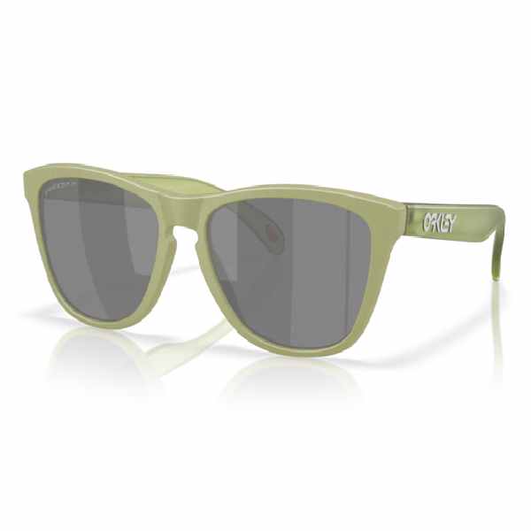 Oakley THE OAKLEY ARCTIC CHALLENGE サイズF Oakley Frogskins Matte Fern/Prizm Black Polar - SportSA