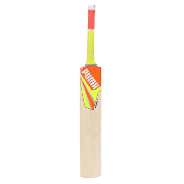 Puma Future Cricket Bat SportSA - Main Image