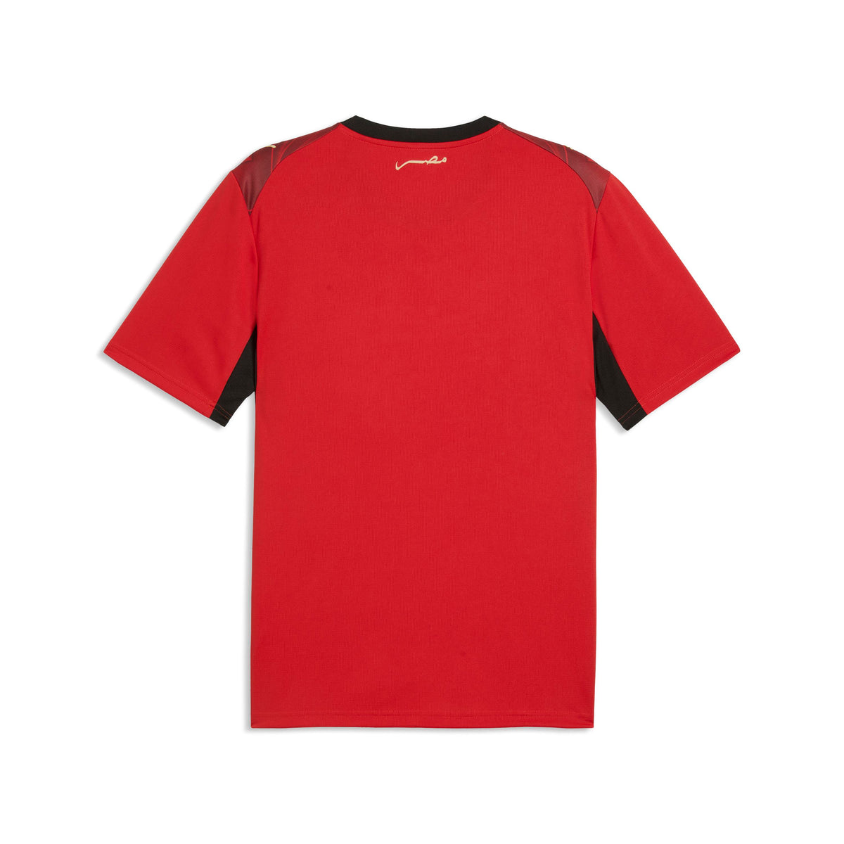 Puma Egypt 26 Home Jersey Red