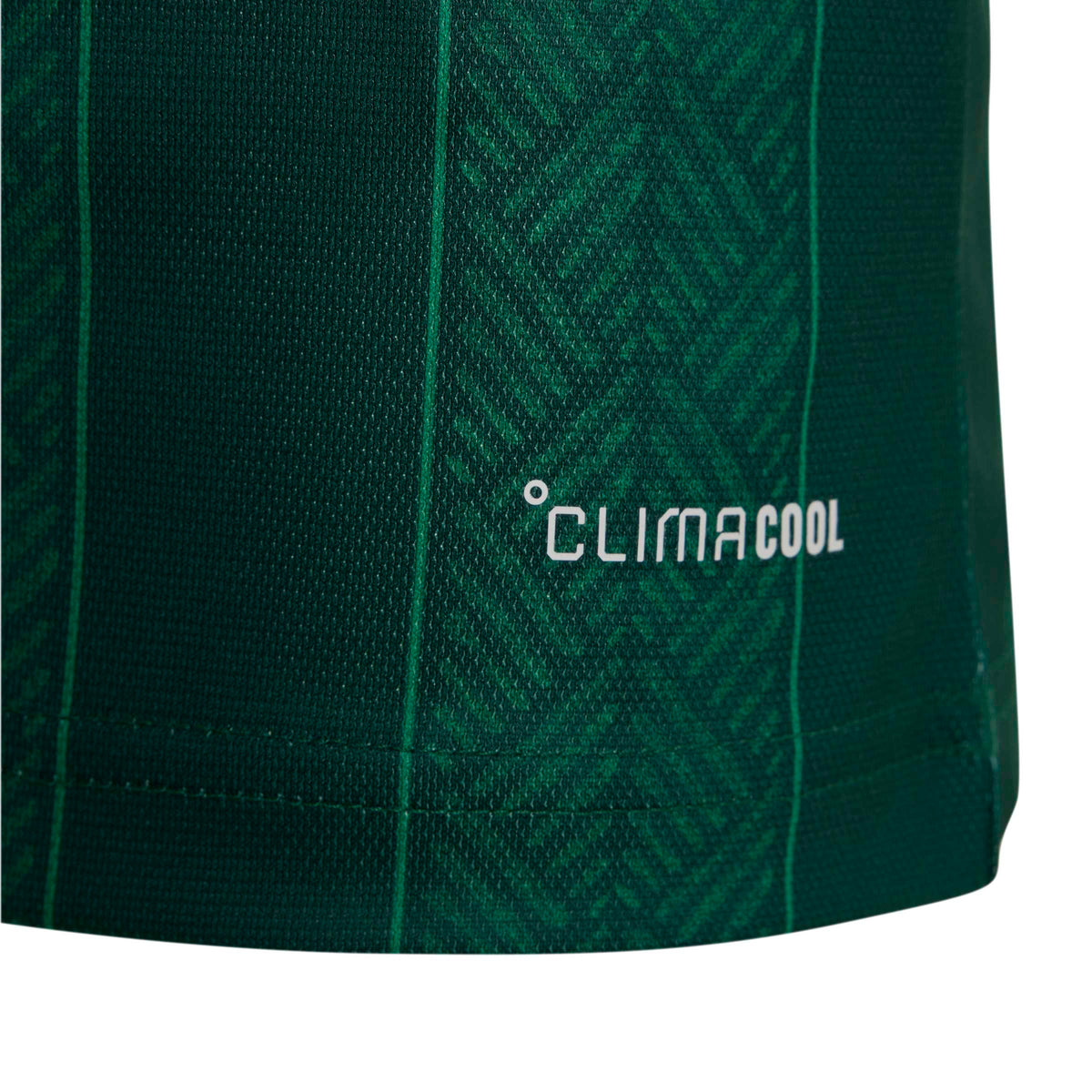 Adidas Bafana Bafana 26 Away Kids Jersey Green
