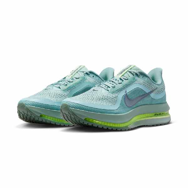 Nike Pegasus Premium Cannon/Seaweed-Barely