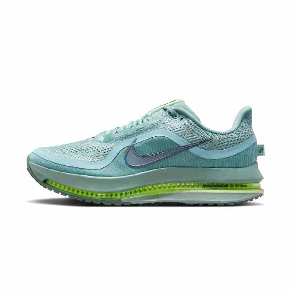 Nike Pegasus Premium Cannon/Seaweed-Barely