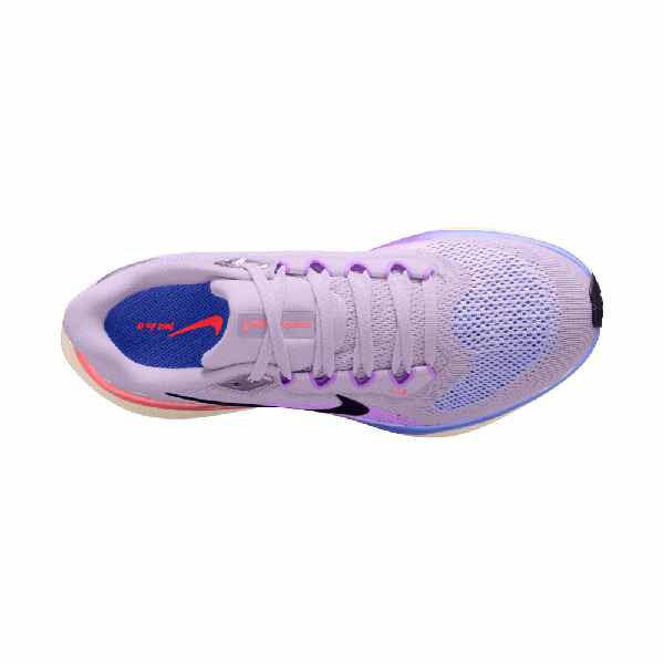 Nike Pegasus 41 Violet Mist/Bright Violet