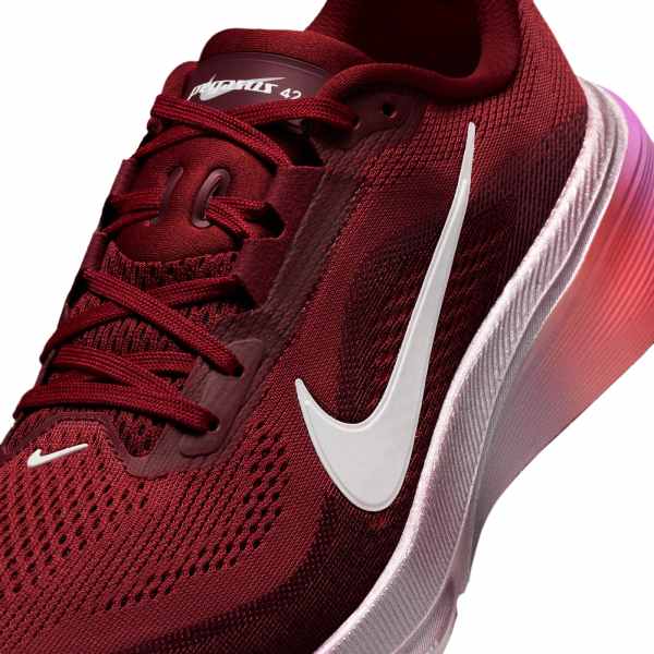 Nike Nike Pegasus 42 SE Team Red