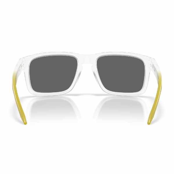 Oakley Holbrook Matte Clear/Prizm Black Polar