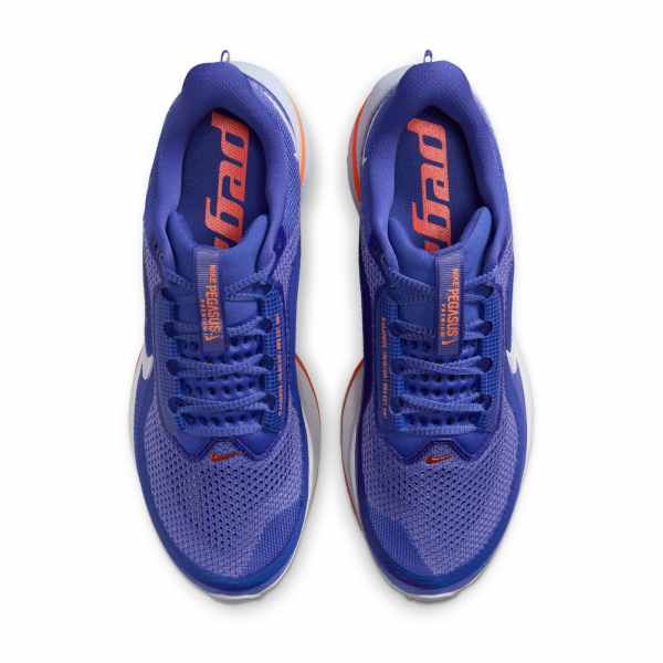 Nike Pegasus Premium Lapis/Total Orange
