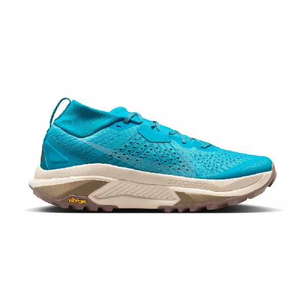 Nike ACG Zegama Baltic Blue/Light Orewood Brown