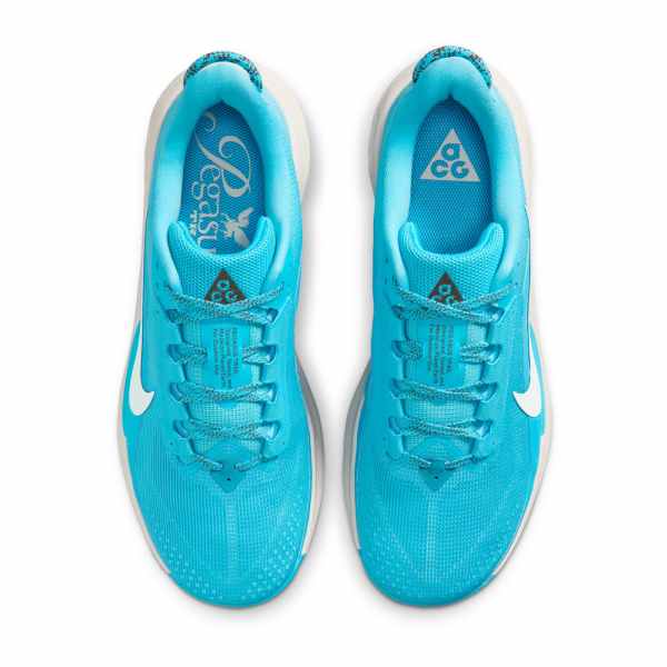 Nike ACG Pegasus Trail Baltic Blue