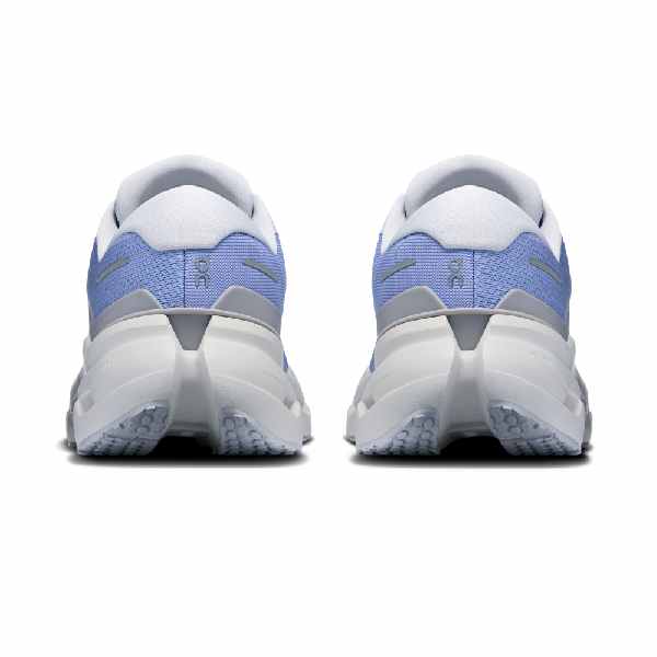 On Cloudrunner 3 Myrtle | Platinum