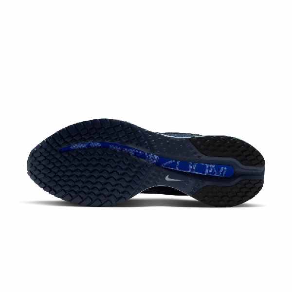 Nike Pegasus Premium Smoky Blue/Dark Slate