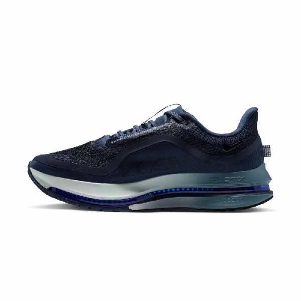 Nike Pegasus Premium Smoky Blue/Dark Slate