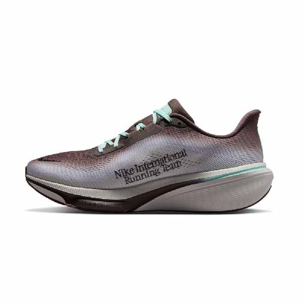 Nike Pegasus 42 Ironstone/Sea Glass Men