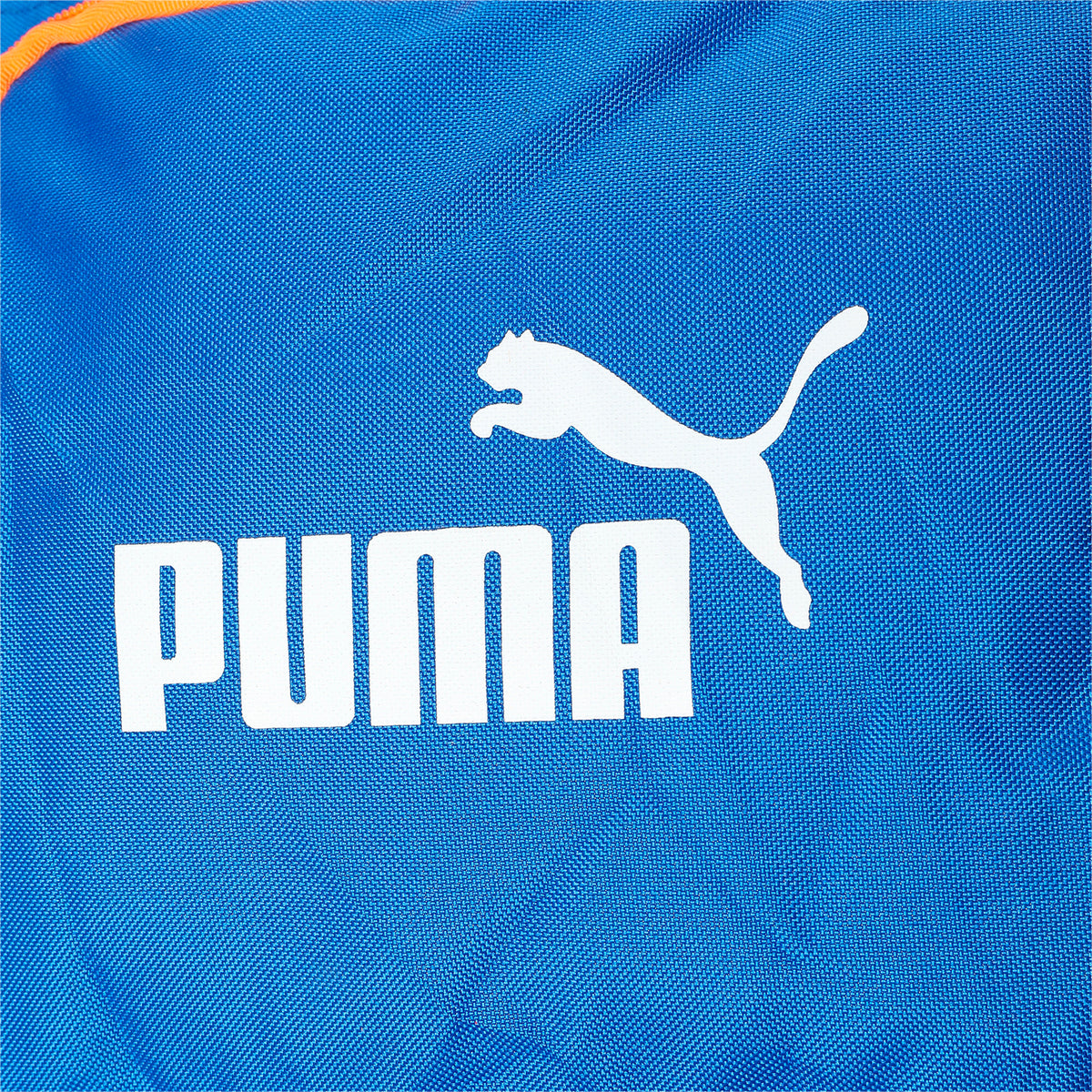 Puma Future 2 Cricket Duffle Bag Bluemazing