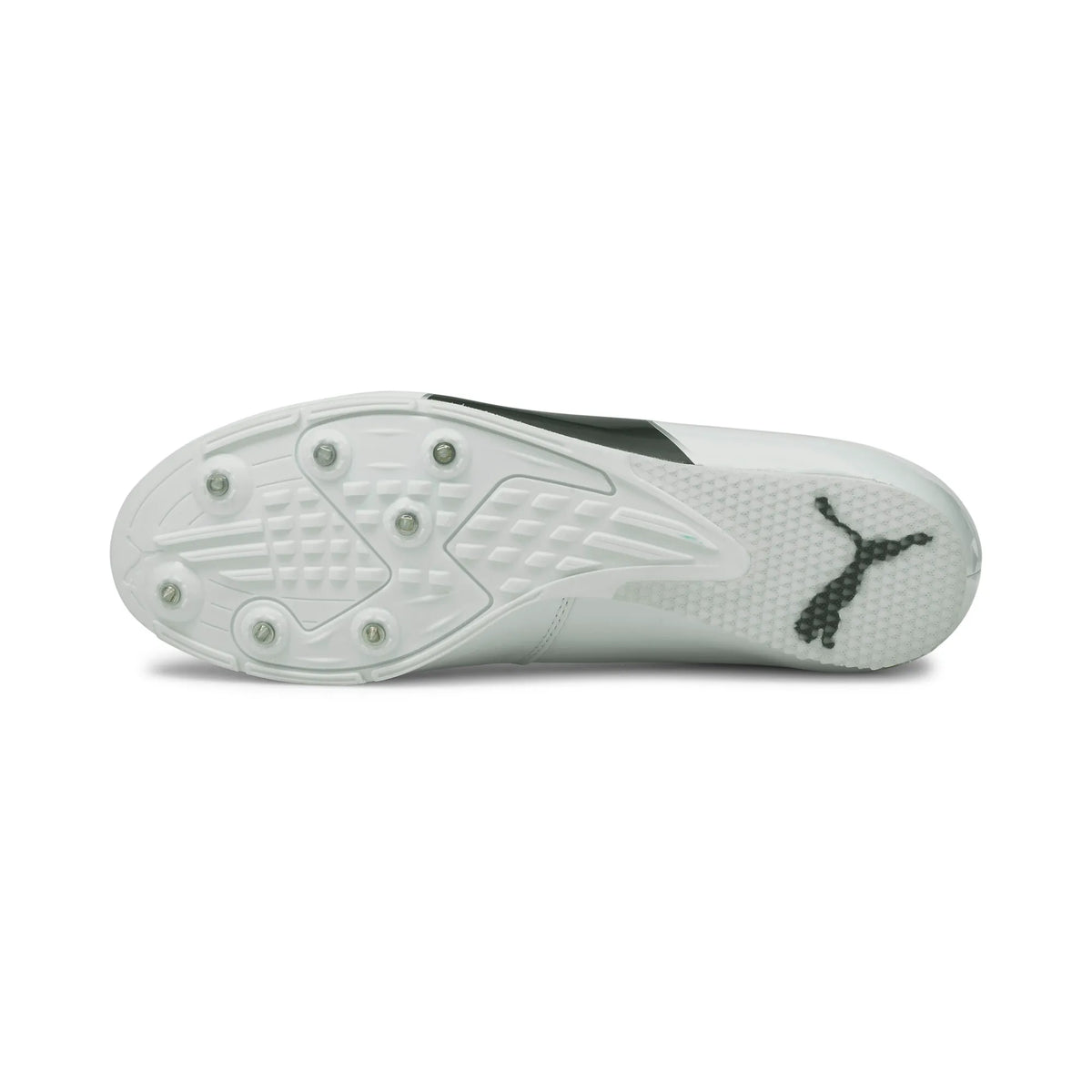 Puma evoSPEED Long Jump 6 White