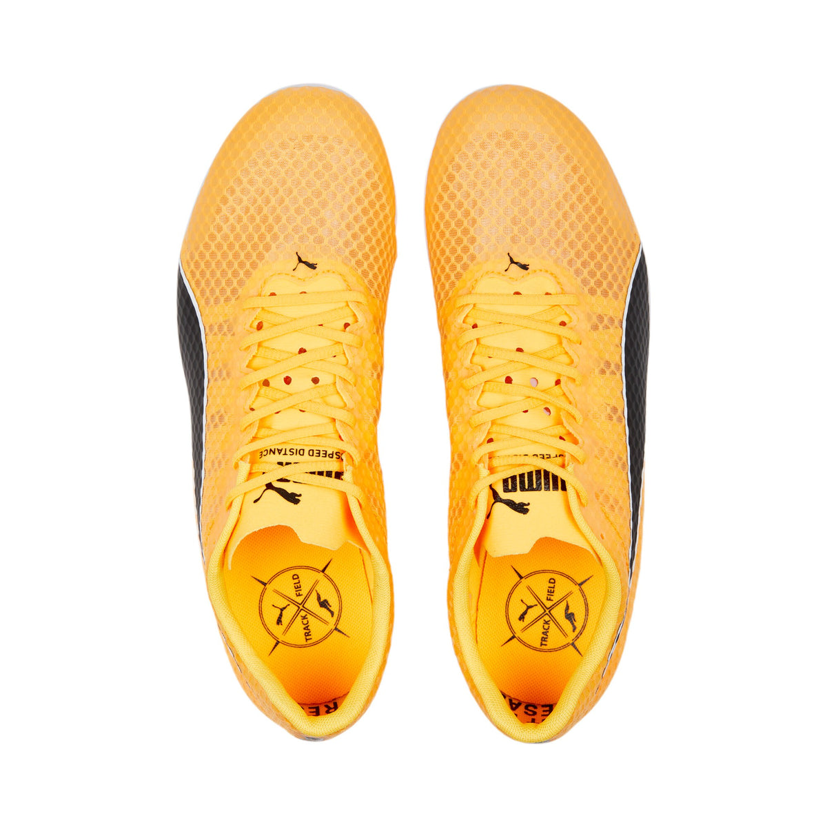 Puma Evospeed Sprint 11 Sun Stream Black