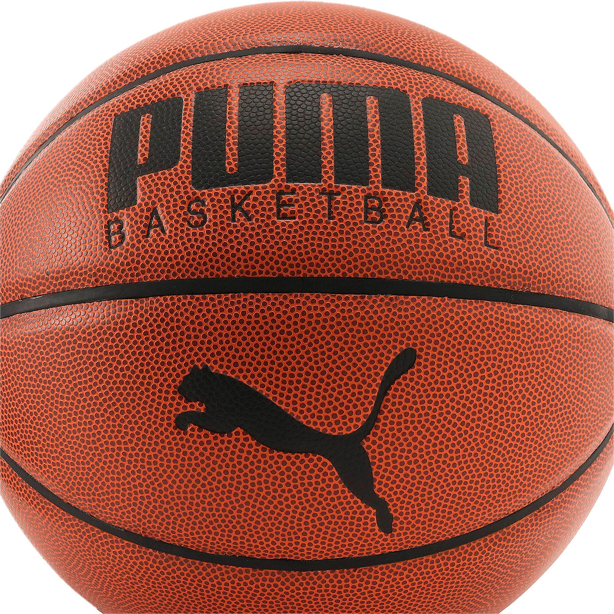 Puma Basketball Top Leather Brown